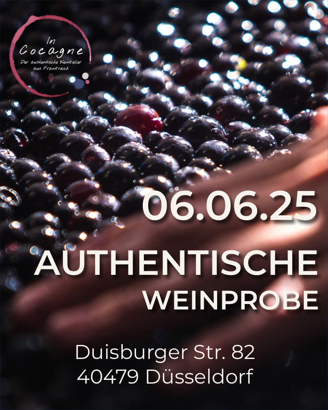 Authentische Weinprobe