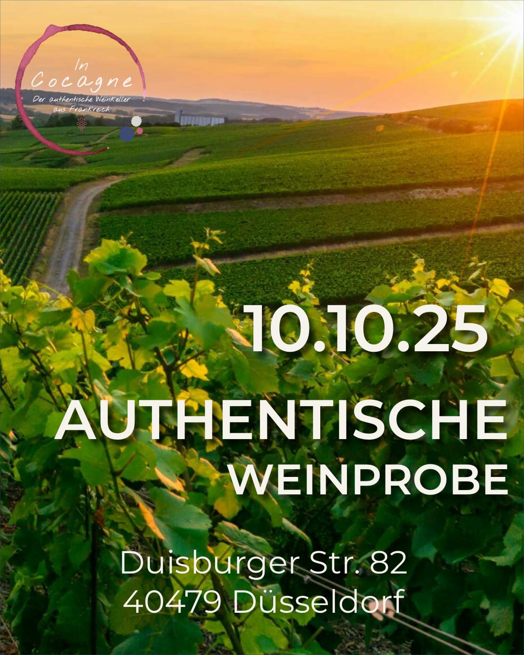 Authentische Weinprobe