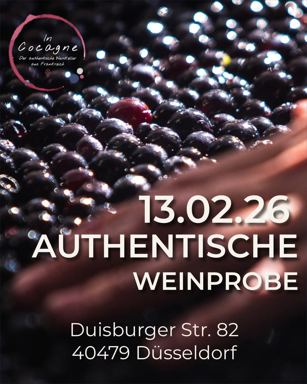 Authentische Weinprobe
