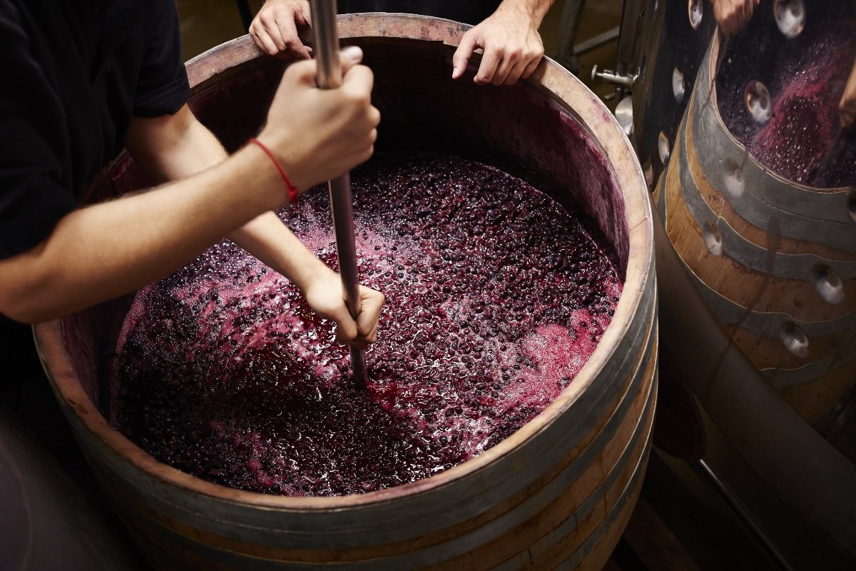 Eichenfass mit Rotwein in einem französischen Weinkeller