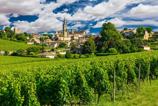 Bordeaux - die Königsregion der Rotweine