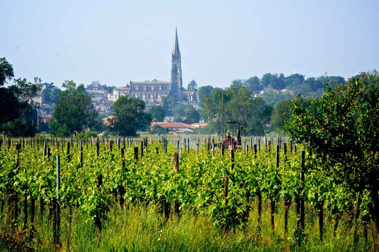 Ein deutscher Auswanderer in Frankreich – Biodynamie im Château d’Esther