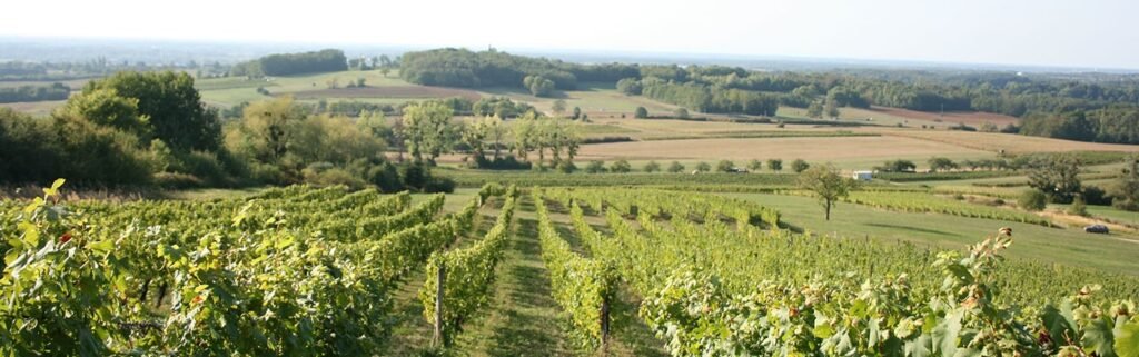 Weißwein - Domaine Eric Thill - De Marne et d'Argile 2018