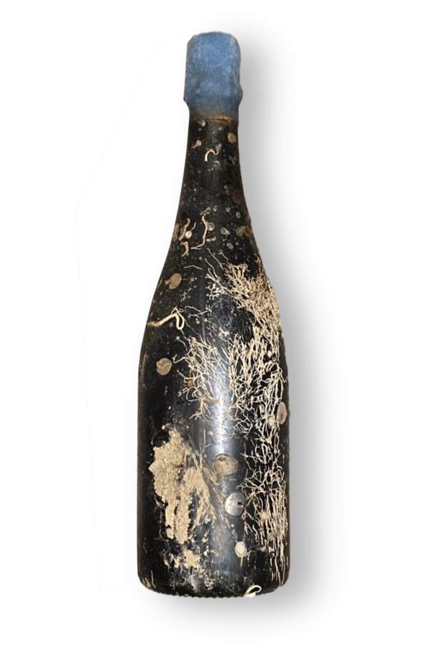 Champagne Gaiffe-Brun - En Mer 2013