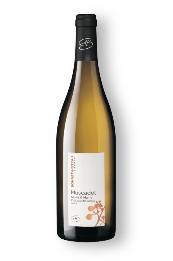 Weißwein - Domaine Bonnet-Huteau - Clos Moulin Chartrie 2019