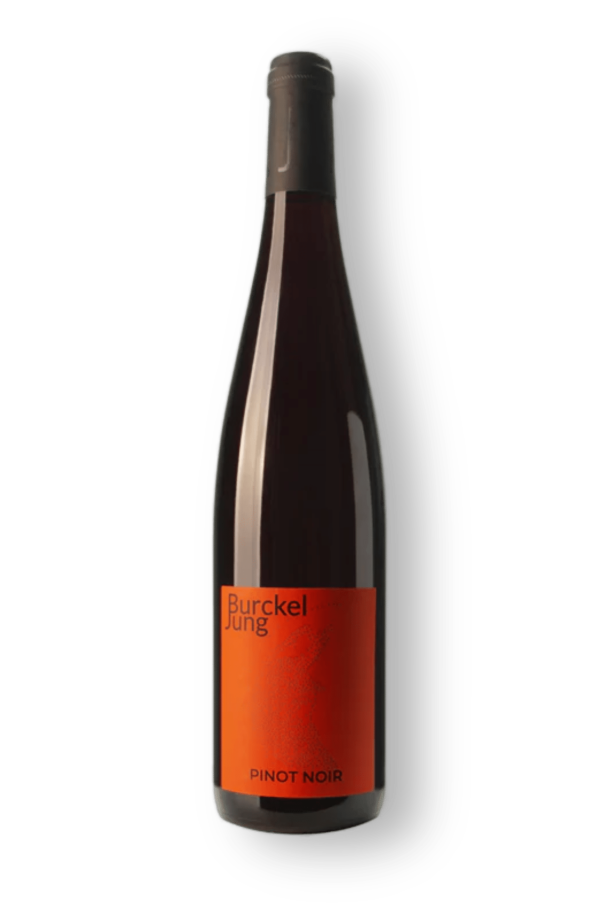 Burckel Jung Pinot Noir Rotwein